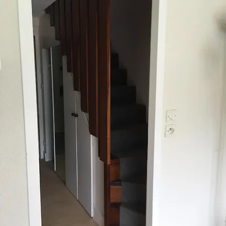 Dans La Foret De Pins, A 800m De La Mer Appartement